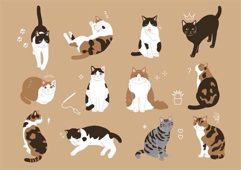 126 Calico Cat Back View Royalty-Free Photos and Stock Images ...