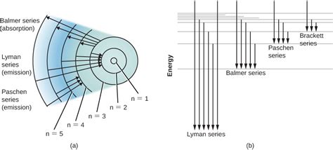 55 Formation Of Spectral Lines Physics Libretexts