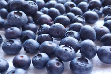 Blueberries How To Select And Store Fiber Snacks High Fiber Snacks