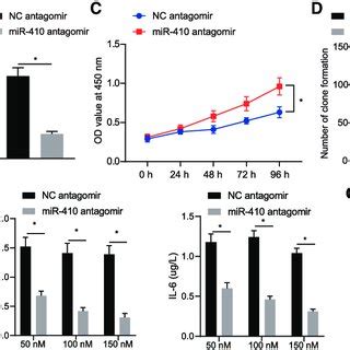 Blocking Mir Prevents The Development Of Atherosclerosis A