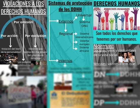 Solution Tr Ptico O Folleto Sobre Los Derechos Humanos Studypool