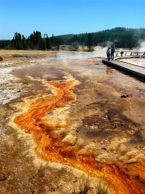 Parque Nacional De Yellowstone Wyoming Estados Unidos Foto De Archivo