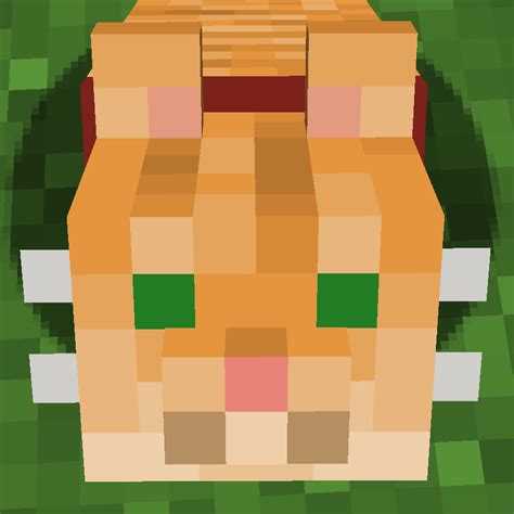 Minecraft Cat Face