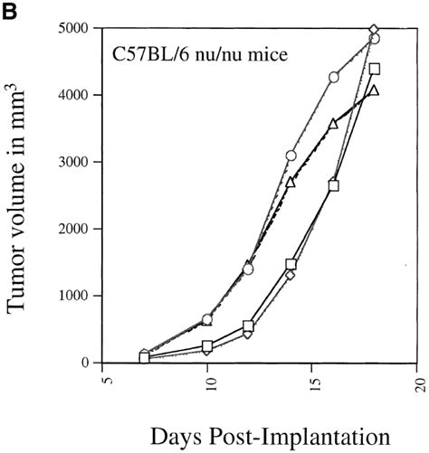 Female C57bl 6 Nu Nu Mice Taconic Biosciences Bioz