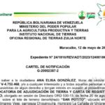 INTI Cartel de Notificación de Revocatoria a Ana Elisa González Qué