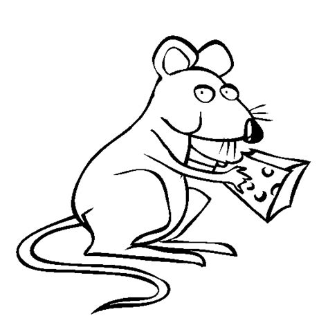 Evil Rat Drawing at GetDrawings | Free download