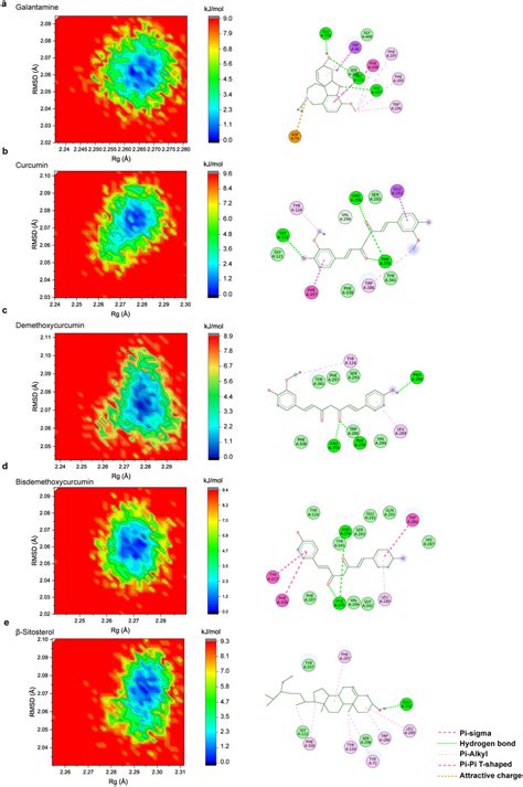 Intermolecular Interaction Of Most Stable Proteinligand Complex