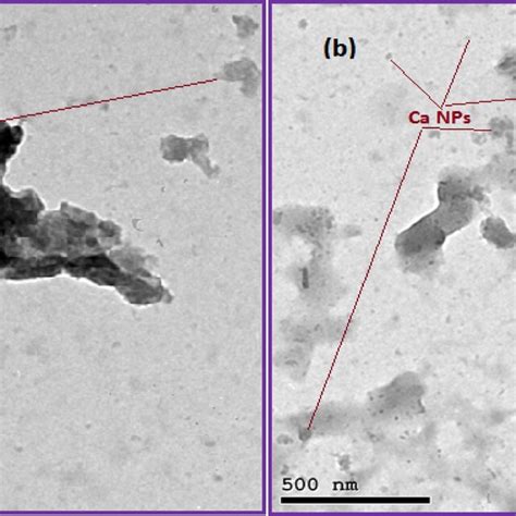 XRD Of A CS CaO Nanocomposite And Loaded With B P3 And C P6 Extract