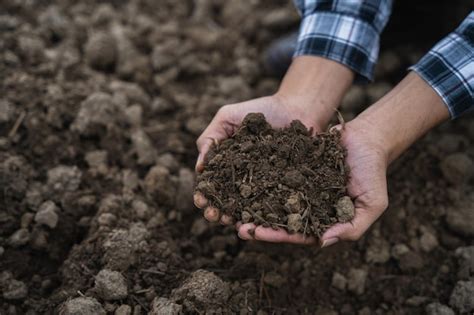 Premium Photo Farmers Expert Hands Check Soil Health Before Planting