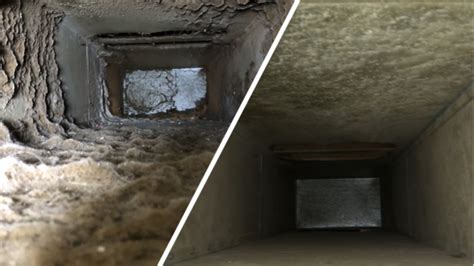 Common Signs Your Air Ducts Need Cleaning And Inspection Alpha Clean Air