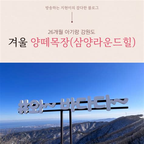 26개월 아기랑 겨울 강원도 대관령 양떼목장 여행 삼양 라운드 힐 겨울 네이버 블로그