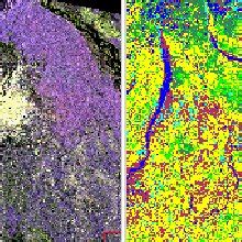 FCC From Fusion Image Of Optical And SAR Data By Brovey Transform With