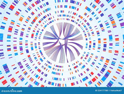 Gene Dna Chromosome Diagram