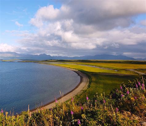 Aleutian Islands Fishing | Alaska Duck Hunting King Eider Hunting