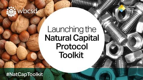 Launching The Natural Capital Protocol Toolkit Helping Business Understand Its Relationship