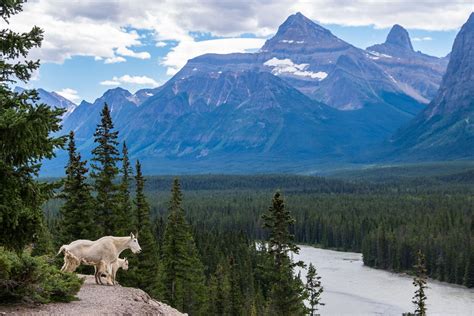 10 Best National Parks in Canada - Escape to Canada’s Most Beautiful ...