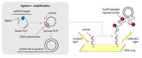 Chemosensors Free Full Text Contribution Of Nanomaterials To The