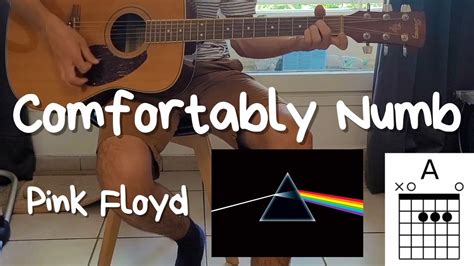 Comfortably Numb Pink Floyd Easy To Play Acoustic Guitar Chords And Lyrics Visual Tuto