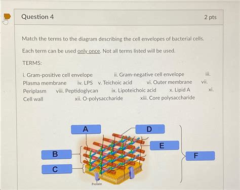 Solved Question Ptsmatch The Terms To The Diagram Chegg