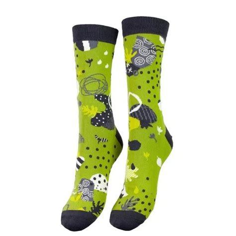 Chaussettes homme Lili Gambettes coton bio anis boutique indépendante