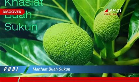 Temukan 7 Manfaat Buah Sukun Yang Jarang Diketahui