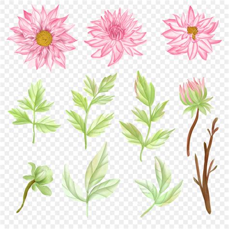 Watercolor Flower Elements White Transparent Pink Flower Elements In