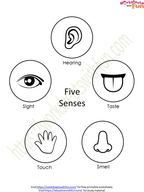 Environmental Science Class 1 Five Senses Worksheet 1 Wwf