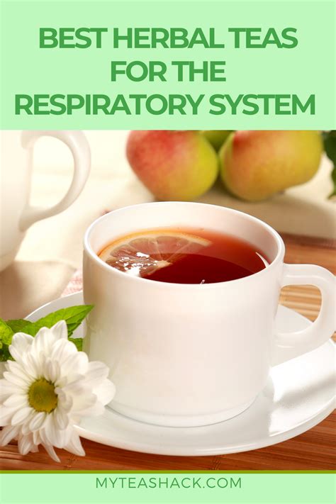 Best Herbal Teas For Respiratory System Artofit