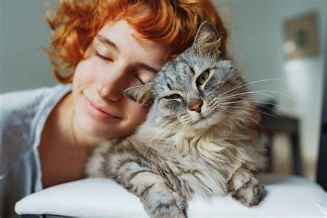 Can Cats Be Sexually Attracted To Humans Dispelling The Myths Vet Verified Catster