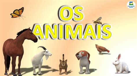 Animais Vocabulário Português Youtube