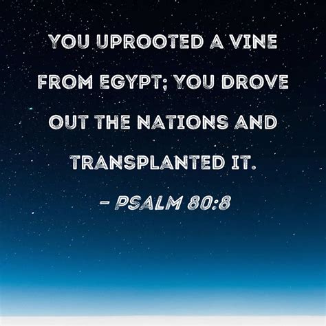 Psalm You Uprooted A Vine From Egypt You Drove Out The Nations