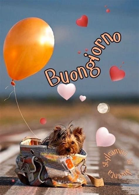 Pin Di Conchetta Bowers Su Buon Giorno Buongiorno Buongiorno