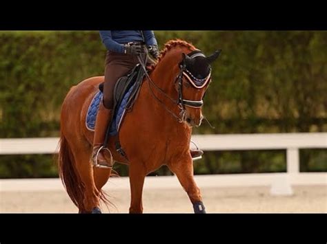 14 Yr Old PSG Oldenburg Schoolmaster YouTube