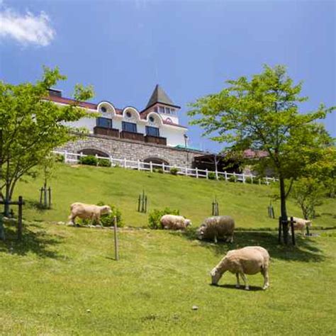 神戸市立六甲山牧場 (神戸・三宮・北野|自然体験) - LIVE JAPAN (日本の旅行・観光・体験ガイド)