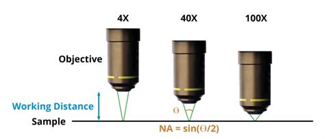 Microscope Calculations Field Of View Depth Of Field Numerical