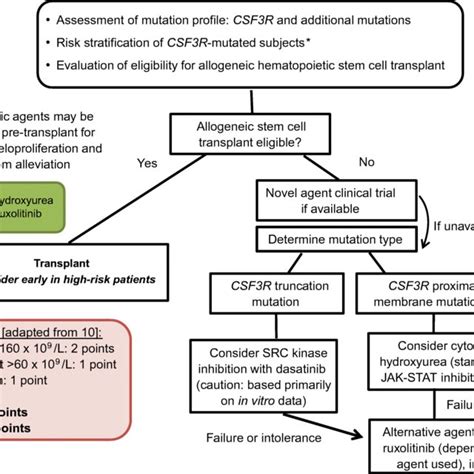 The Diagnosis And Management Algorithm For Chronic Neutrophilic