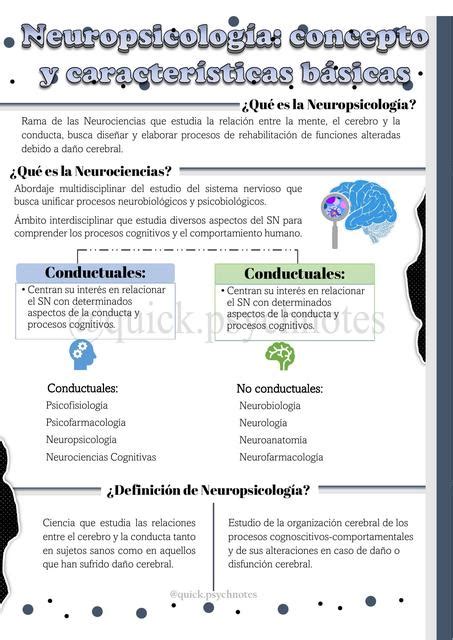 Neuropsicología Conceptos Y Características Quick Psychnotes Udocz