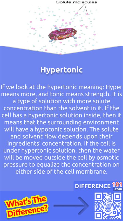 Learn About The Key Differences Between Hypertonic Vs Hypotonic Pelvic