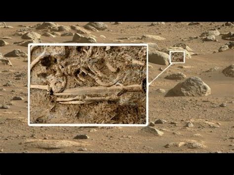 Nasa Mars Perseverance Rover Sol Mars K Video Mars Recent