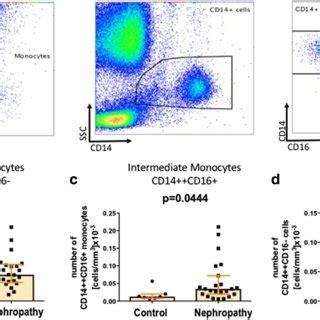 Flow Cytometry Analyses Of Total Cd Cells And Epcs Representative