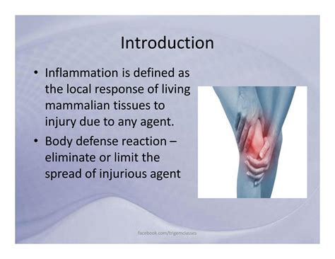 Solution Acute Chronic Inflammation Studypool