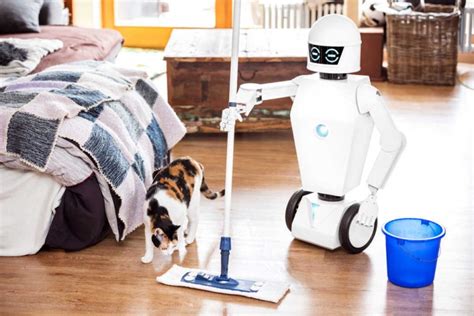 Todo Lo Que Debes Saber Sobre Los Robots De Limpieza I Love Toto