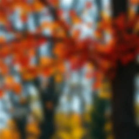 Optimal Timing for Tree Trimming: A Complete Guide