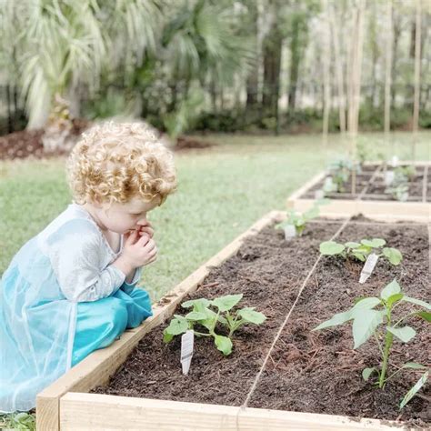 10 DIY Raised Garden Beds + Tutorials - The Coastal Oak