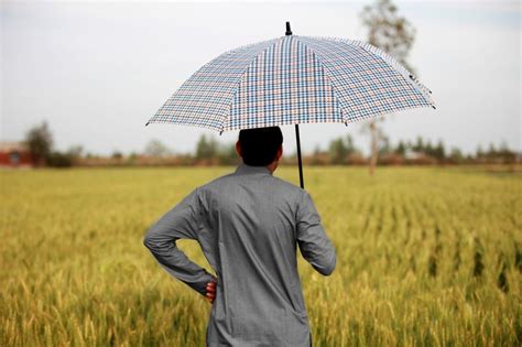 Unseasonal Showers Crops Lying In Mandis Farmers Across India Fear The Worst As Imd Predicts