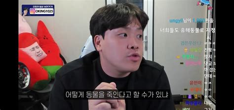 오킹 길고양이 영상 관련 입장표명 유머움짤이슈 에펨코리아