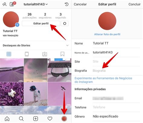 Bio Centralizada No Instagram Veja Dicas Para Editar Sua Biografia