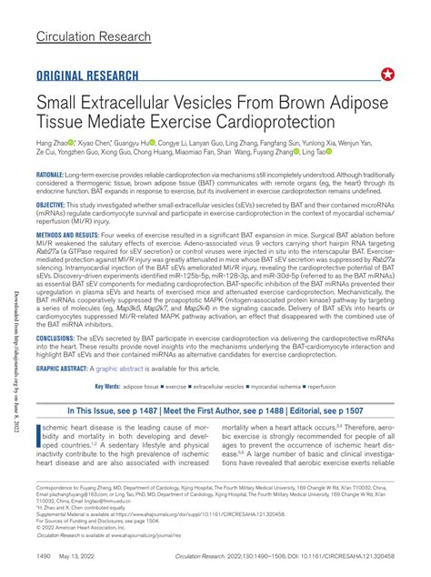 PDF Small Extracellular Vesicles From Brown Adipose Tissue Mediate