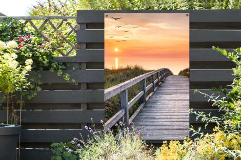 Tuinposter Zonsonderang Zee Pad Gras Duin Vogels Staand