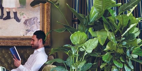 Collections | deroma